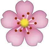 深化行業認知，共謀發展新篇——中煤蒙大公司特邀孫惠民授課經濟信息咨詢